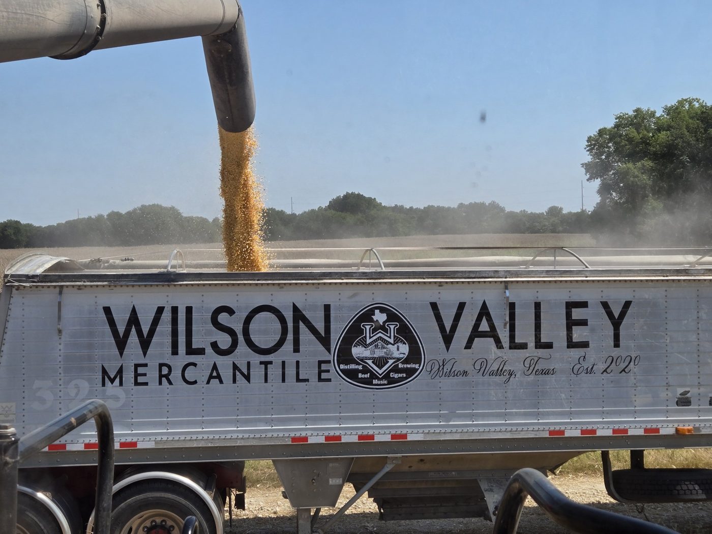 Grain going into the trailer at harvest